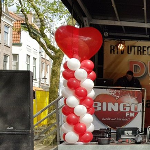 Pilaar 1.5 meter incl. XXL Hart Ballon Pilaar 1.5 meter incl. XXL Hart Ballon